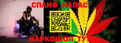 молекула духа Камень-на-Оби