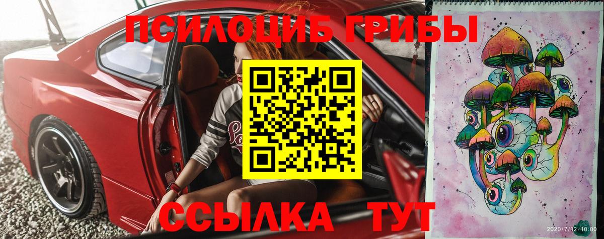 Псилоцибиновые грибы Psilocybe Октябрьский